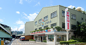 Banqiao Plant